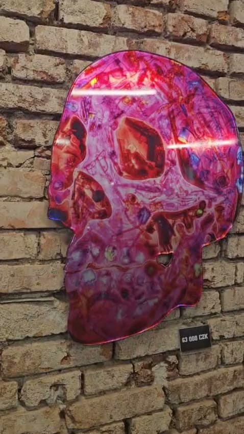 Skull Pink